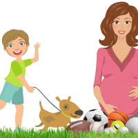 Artificial Turf For Dogs And Children