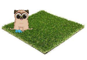 Best artificial grass for dogs