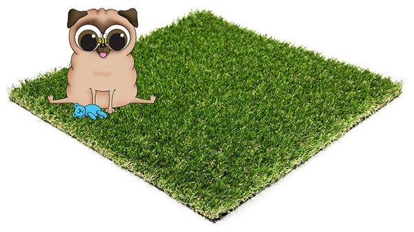 Best artificial grass for dogs UK