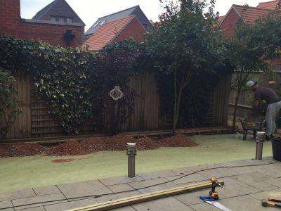 Top Dog Turf Artificial Grass During1 Top Dog Turf Artificial Grass During1