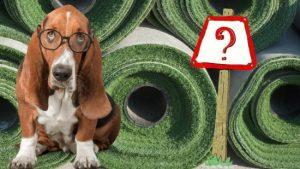 5 vital questions dog owners must ask artificial grass installers