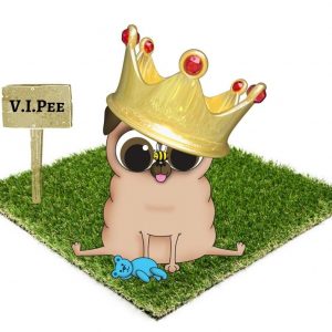 VIPee Dog loo