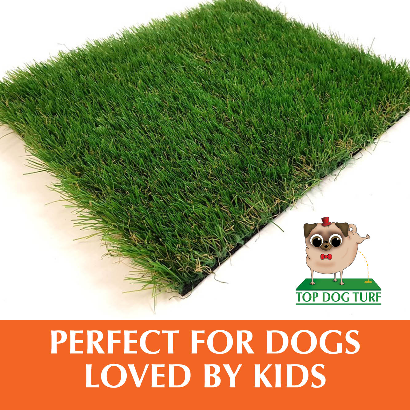 Champion Top Dog Turf