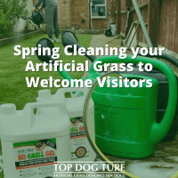 Spring Cleaning Artificial Grass