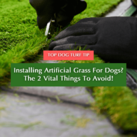 Featured Image - Installing Artificial Grass For Dogs_ The 2 Vital Things To Avoid