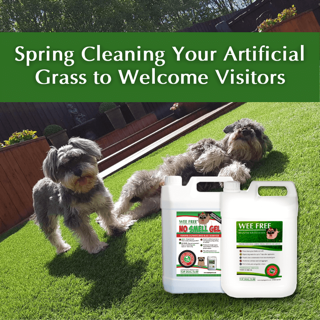 Featured Image - Spring Cleaning Your Artificial Grass to Welcome Visitors