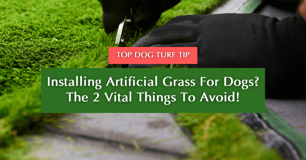 Installing Artificial Grass For Dogs The 2 Vital Things To Avoid