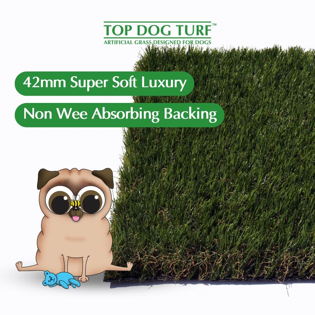 Champion Top Dog Turf