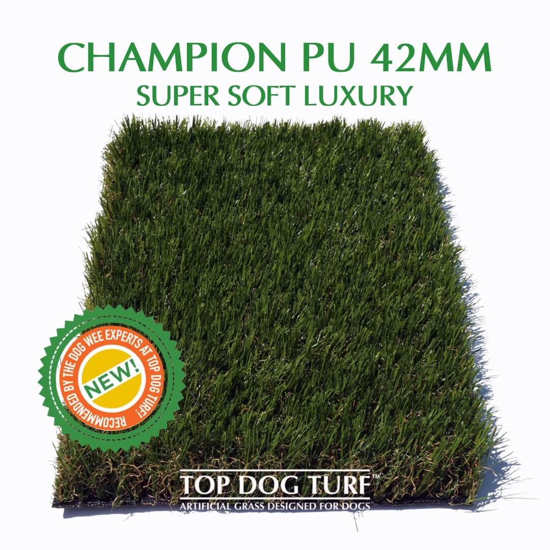 Champion Top Dog Turf
